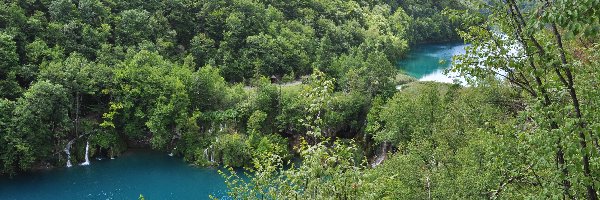 Park, Jezioro, Plitvickie, Europa, Chorwacja