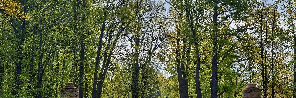 Miasto Puszkin, Stary, Kamienny, Aleksandrowski, Park, Ruina, Most