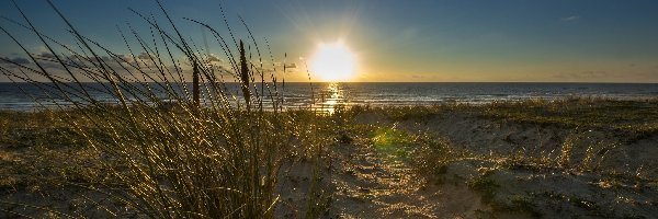 Trawy, Morze, Wschód słońca, Plaża