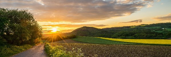 Zachód słońca, Góry Eifel, Droga, Nadrenia Palatynat, Niemcy, Pola, Drzewa