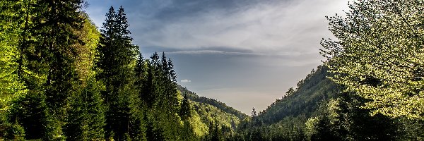 Niebo, Wzgórza, Drzewa, Chmury, Góry, Droga