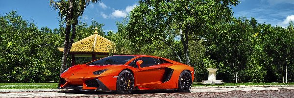 Aventador, Lamborghini, Samochód