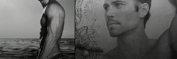 Zdjęcie, Paul Walker