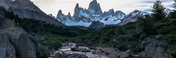 Strumyk, Chile, Drzewa, Góry, Patagonia, Góry Andy, Szczyt Fitz Roy, Argentyna, Pogranicze, Kamienie