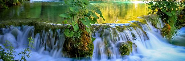 Chorwacja, Las, Park Narodowy Jezior Plitwickich, Zieleń, Rzeka