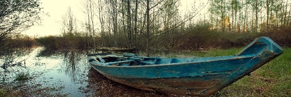 Bagno, Łódź, Drzewa, Jesień