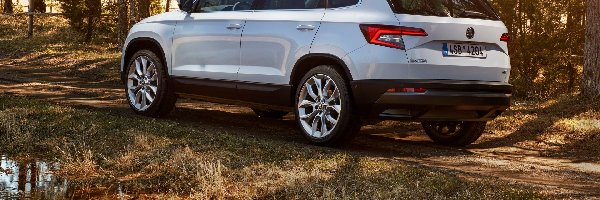 2015, SUV, Skoda Karoq