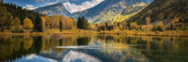 Jesień, Kaczki, Jezioro, Góry