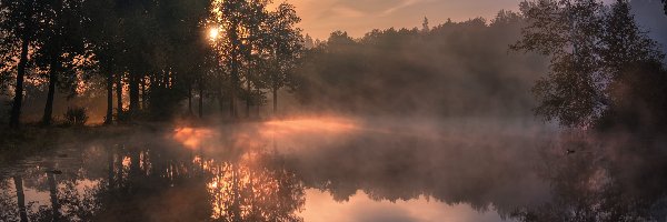 Odbicie, Drzewa, Wschód słońca, Poranek, Staw Barski, Rosja, Obwód moskiewski, Mgła, Serednikowo