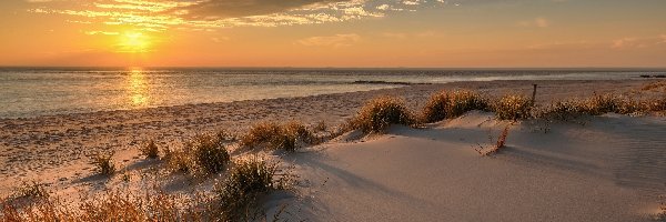 Plaża, Trawy, Zachód słońca, Morze