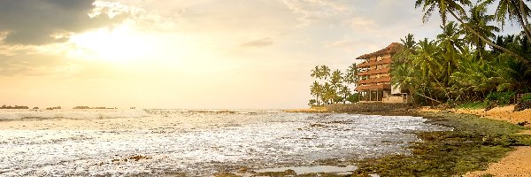 Sri Lanka, Plaża, Ocean, Palmy, Dom