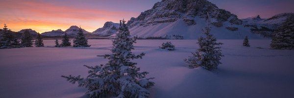 Góra Crowfoot Mountain, Alberta, Drzewa, Wschód słońca, Park Narodowy Banff, Góry, Zima, Kanada