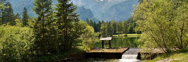 Ławka, Północne Alpy Wapienne, Austria, Hinterstoder, Drzewa, Ścieżka, Jezioro Schiederweiher, Góry Totes Gebirge