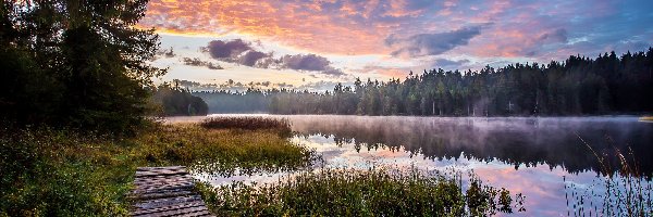 Drewniany, Mgła, Roślinność, Drzewa, Jezioro, Pomost, Las, Wschód słońca