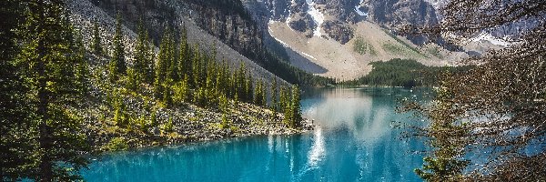 Kanada, Góry, Park Narodowy Banff, Drzewa, Jezioro Moraine