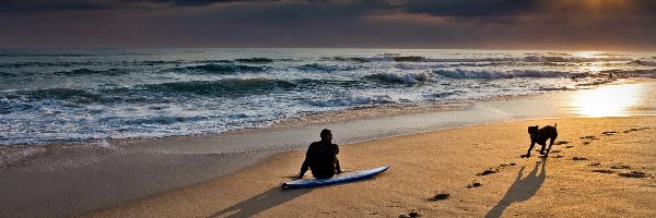 Plaża, Surfer, Pies, Morze