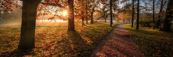 Park, Promienie słońca, Ścieżka, Drzewa, Jesień, Rosja, Petersburg, Liście, Carskie Sioło