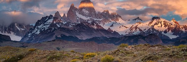 Argentyna, Chmurach, Śnieg, W, Góry, Patagonia, Roślinność