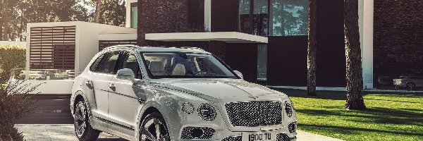 Hybrid, Bentley Bentayga
