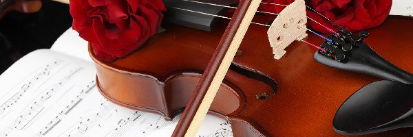Trzy, Róże, Czerwone, Nuty, Skrzypce