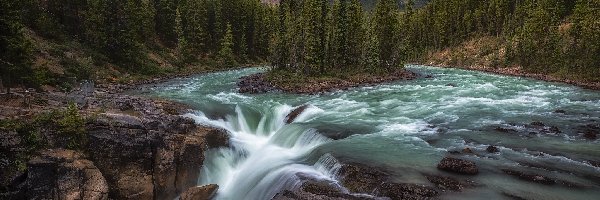 Góry, Park Narodowy Jasper, Prowincja Alberta, Wodospad Sunwapta, Rzeka Sunwapta, Drzewa, Kanada