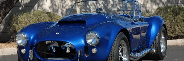 1965, Shelby Cobra