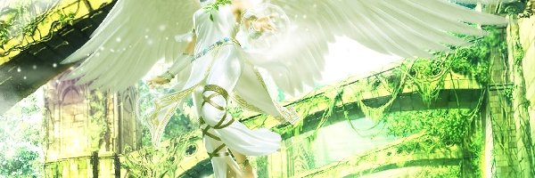 Angel, Tekken Tag Tournament 2