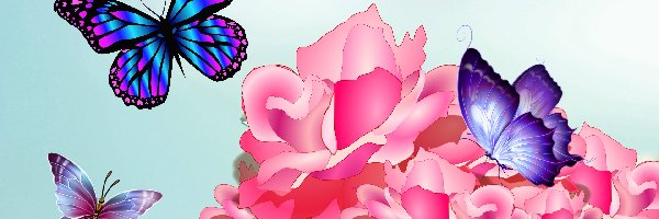 Motyle, Kwiaty, Różowe