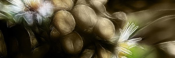 Fractalius, Polne, Kwiaty