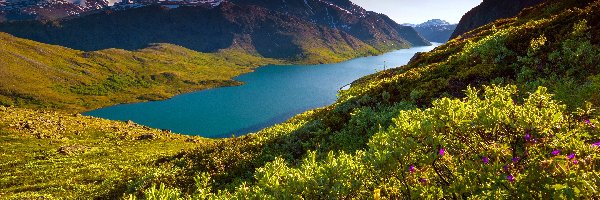 Góra, Jezioro, Besseggen, Norwegia