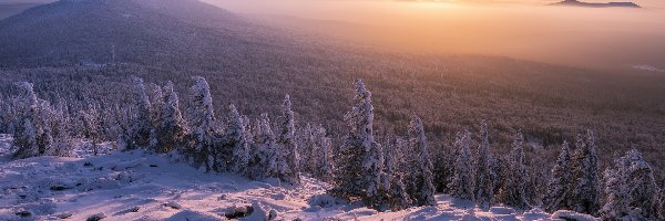 Wzgórza, Drzewa, Góry, Zima, Wschód słońca