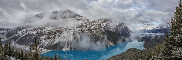 Mgła, Jezioro Peyto, Kanada, Góry Canadian Rockies, Park Narodowy Banff, Chmury, Las