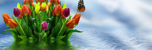 Tulipany, Grafika, Motyl, Kwiaty