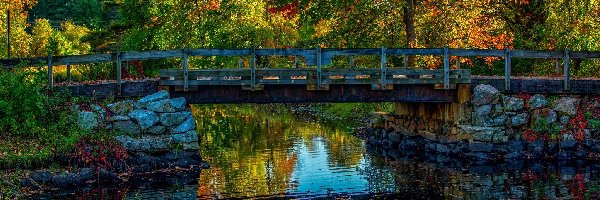 Rzeka, Drzewa, Most, Jesień