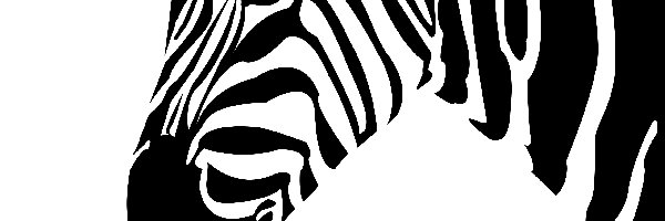 2D, Zebra