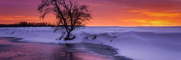 Śnieg, Drzewo, Zachód słońca, Zima, Lód, Rzeka