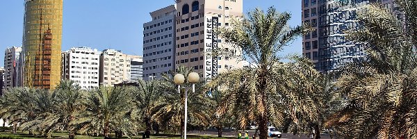 Abu Dhabi, Skwer, Palmy, Chmur, Drapacze, Miasta, Fragment