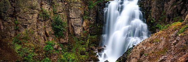 Roślinność, Park Narodowy Lassen Volcanic, Wodospad Kings Creek Falls, Stan Kalifornia, Stany Zjednoczone, Kamienie, Skały