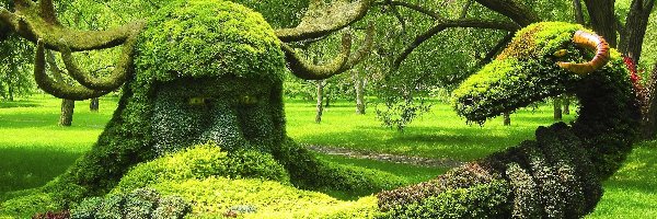 Park