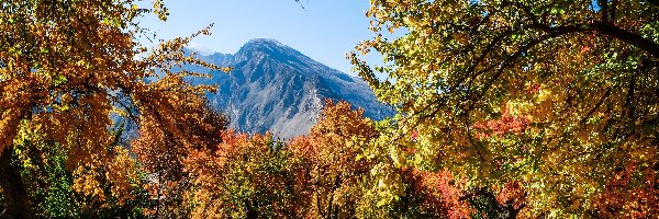 Gilgit-Baltistan, Park, Jesień, Pakistan, Góry Karakorum, Drzewa