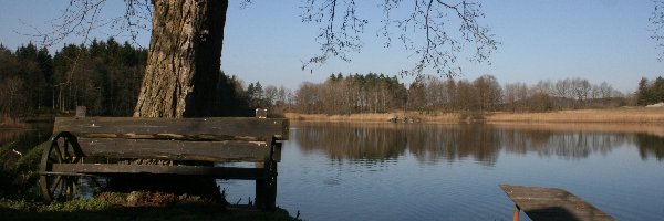 Staw, Drzewo, Ławka, Odbicie, Jesień