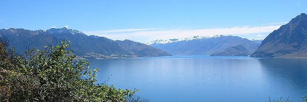 Jezioro, Roślinność, Góry, Nowa Zelandia, Hawea