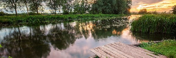 Chmury, Drzewa, Zachód słońca, Roślinność, Pomost, Rzeka