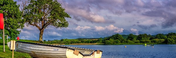 Szkocja, Drzewa, Jezioro Loch Ken, Brzeg, Łódki