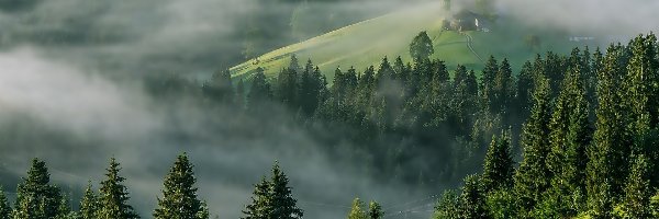 Austria, Mgła, Domy, Lasy, Góry, Tyrol, Alpy