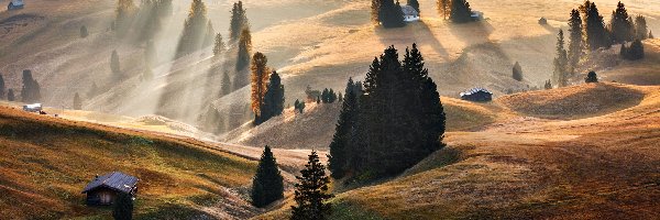 Drzewa, Dolina, Świt, Dolomity, Włochy, Domy, Promienie słońca