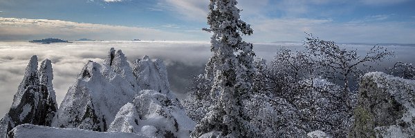 Góry, Mgła, Drzewa, Skały, Zima