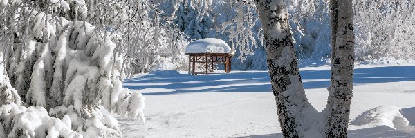 Zima, park, Śnieg, Altanka, Drzewa