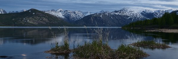 Trawy, Kępki, Jezioro Jack London, Góry, Ośnieżone, Rosja, Magadan, Drzewa, Kołyma