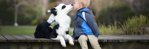 Dziecko, Kładka, Buziak, Border collie